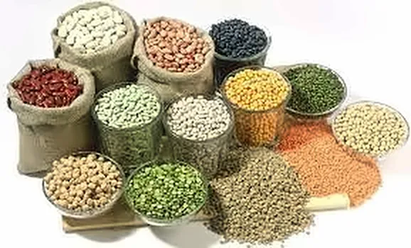 Sacks of beans, peas, lentils and pulses